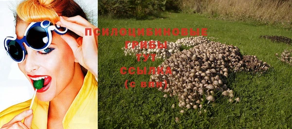 спайс Алексеевка