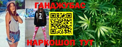 винт Новозыбков