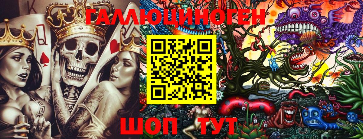 Псилоцибиновые грибы Psilocybine cubensis Тайшет