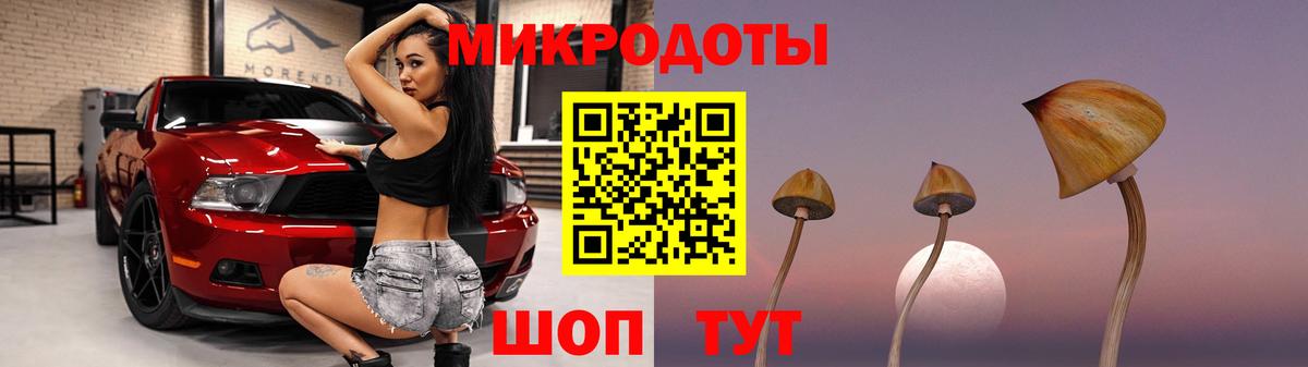 продажа наркотиков  Галлюциногенные грибы Psilocybine cubensis  Вход с VPN  Тайшет 
